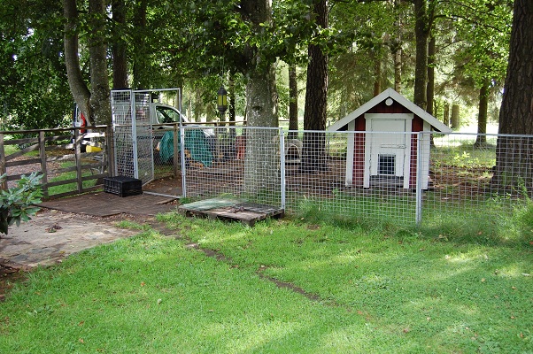 Hus-bild